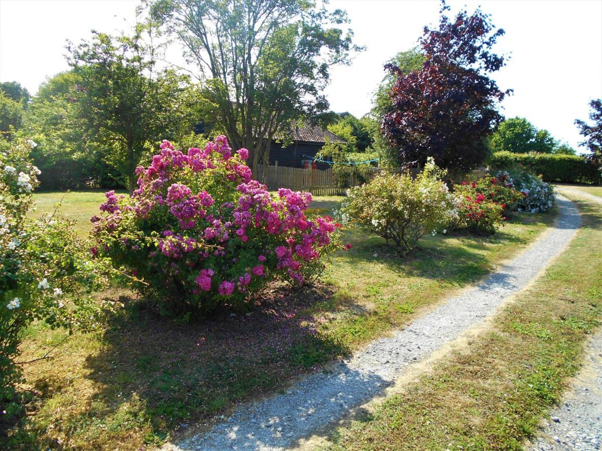 Wilby Brundish Suffolk Barn 2 Bed Idyllic 6 Acres别墅 外观 照片